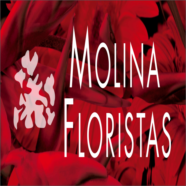 Molina Floristas