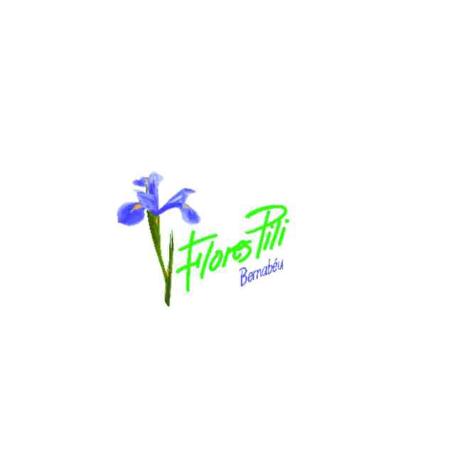 Flores Pili Bernabéu