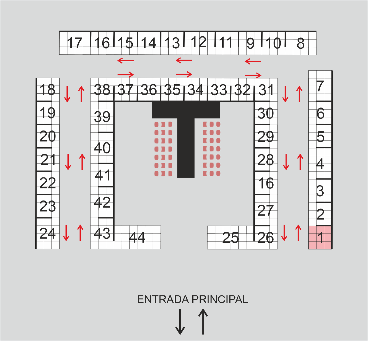 Constanza Giacomelli Vocalista