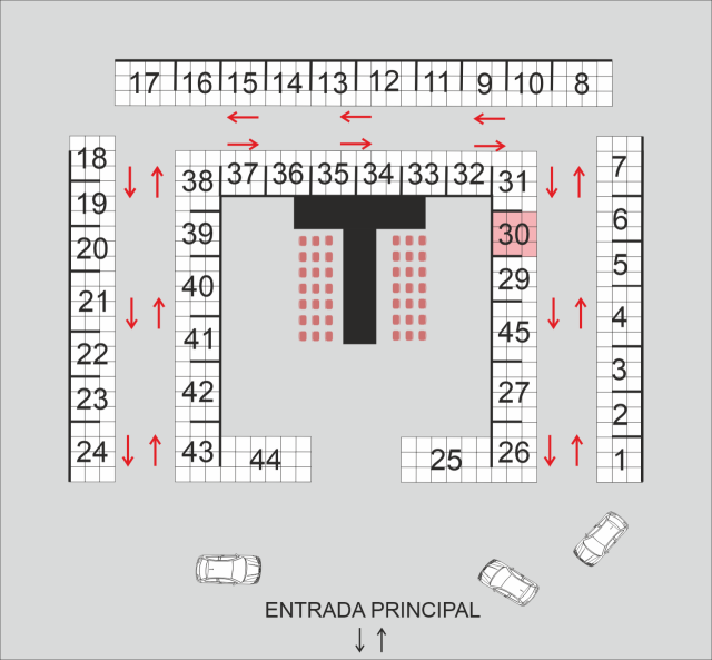 Magdalena Pietras  (ETERNA by Plantarium)