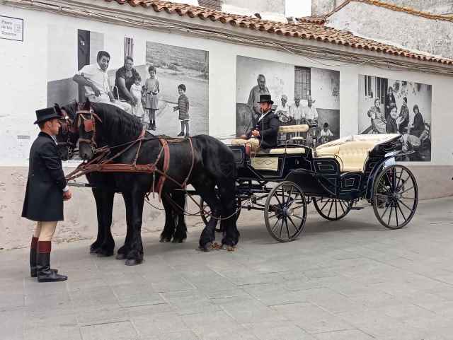 Frisones de Tentudia