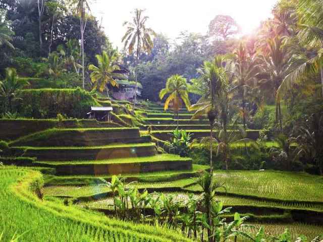 Viajes Indonesia en tus manos